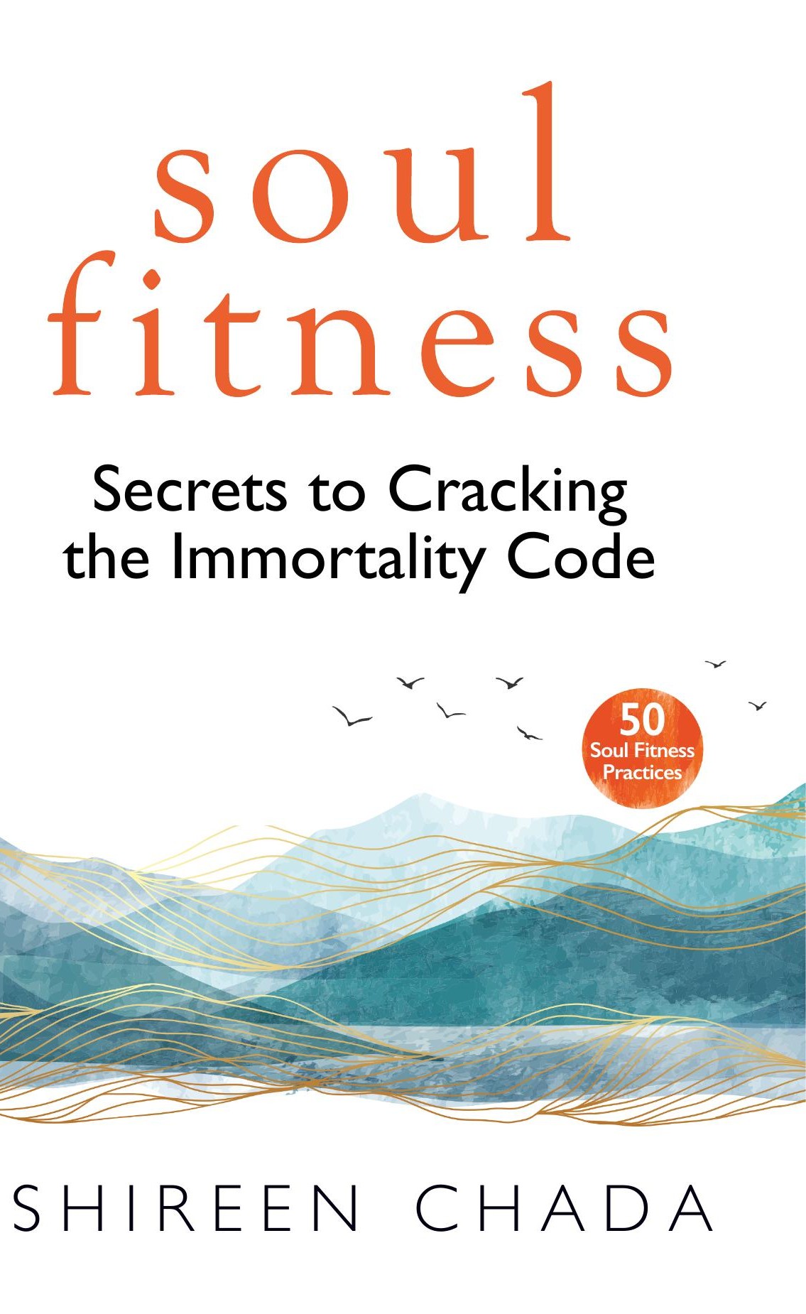 Soul Fitness book cover
